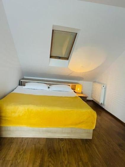 Studio deschis si la regim hotelier, priveliste frumoasa, pet friendly, loc parc - 7