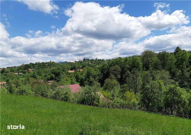 BRAN-teren intravilan - 1