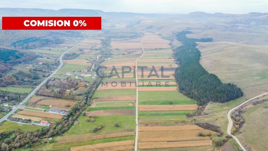 Terenuri de vanzare in Gilau - 2