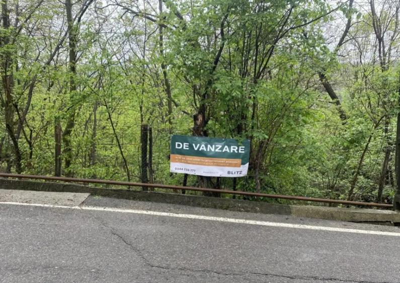 Teren intravilan, 900 (mp), zona Cornu de sus - 5