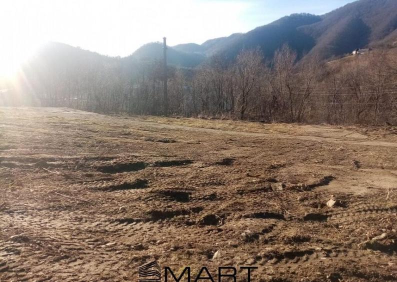 Teren extravilan 7432 mp, cu cabana de lemn Capalna AB - 8