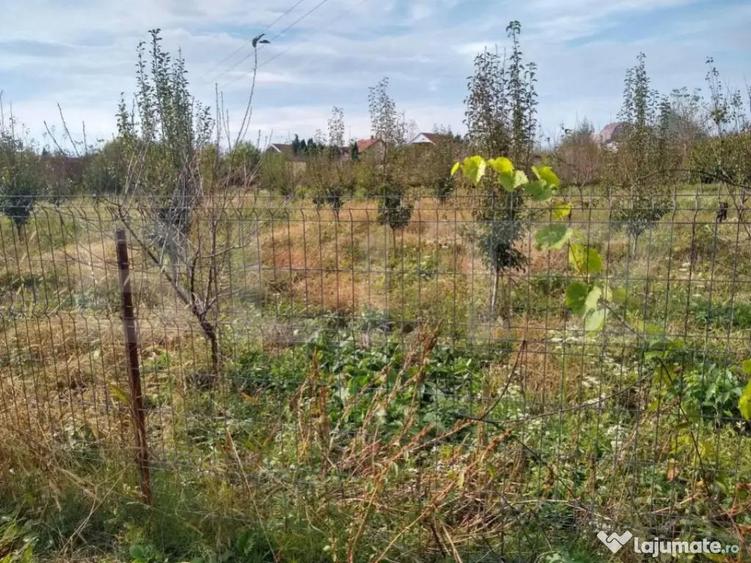 Teren intravilan de vanzare, 1400 mp, zona Bercu Rosu - 4