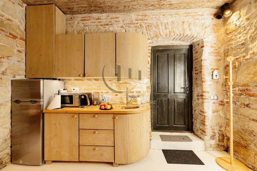 Cluj Napoca Apartament cu farmec istoric 40 mp, parter, in centrul orasului - 15