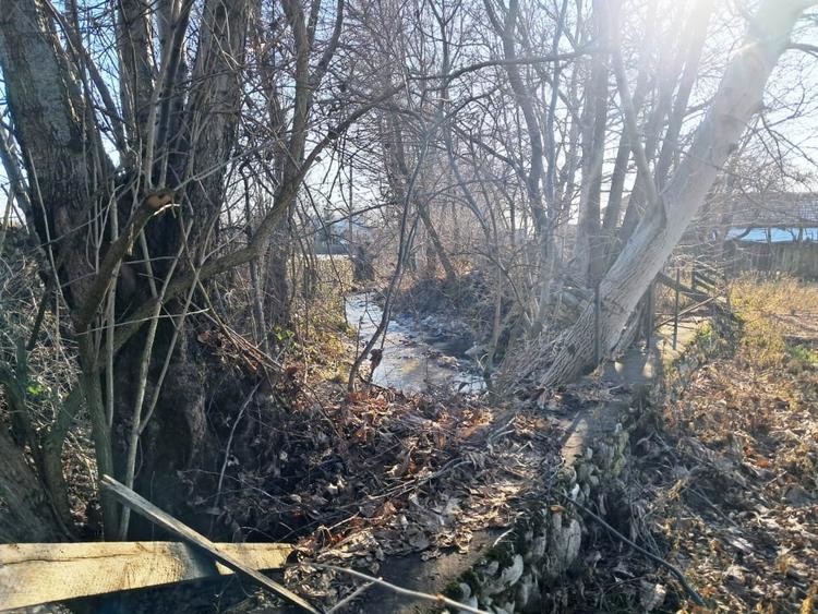 Casa si teren de vanzare Polovragi - 11