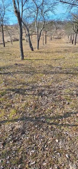 Vand casa + teren 8600 mp Fartatesti, Dozesti, jud Valcea - 5