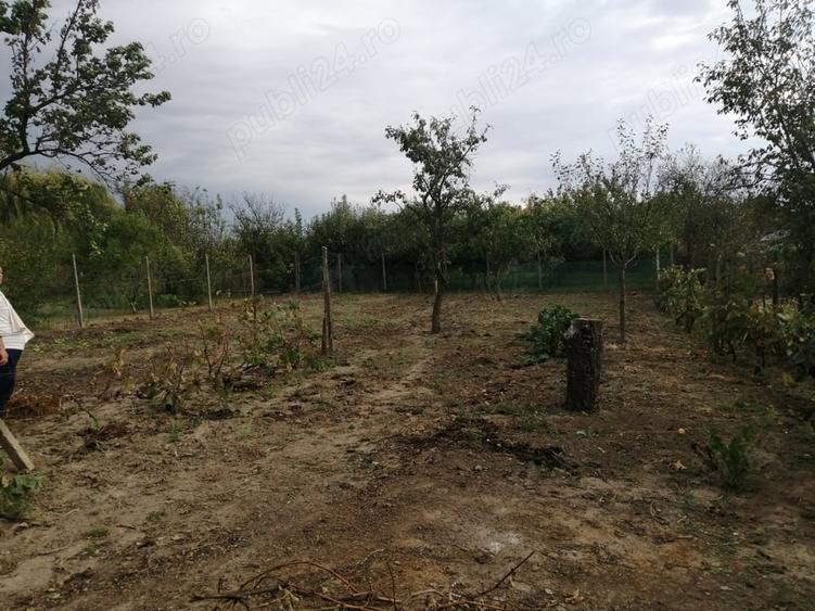 Casă cu 2 camere în Diosig