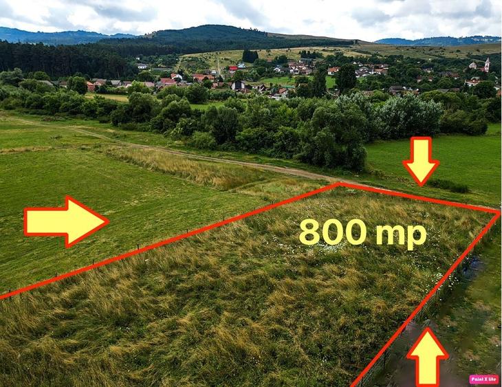 Teren de 800 mp, în Cărpiniș