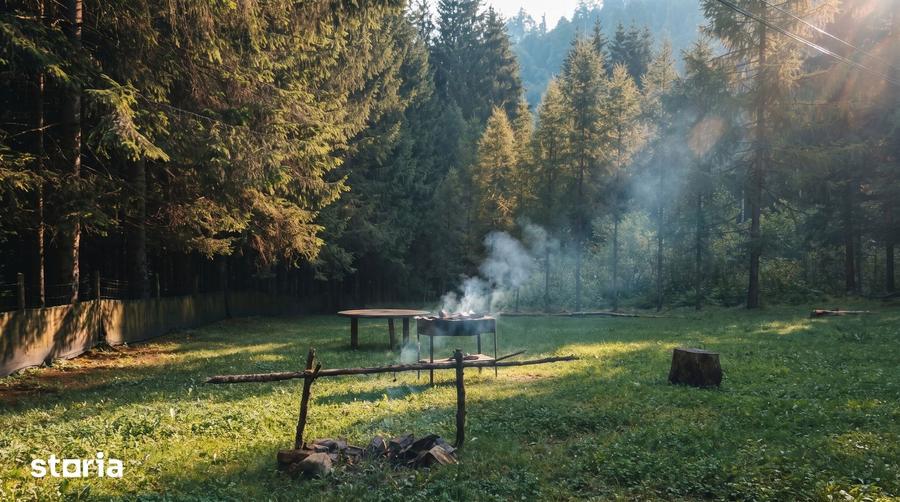 Cabana de vanzare oaza ta de lini?te, ascunsa in inima padurii - 6