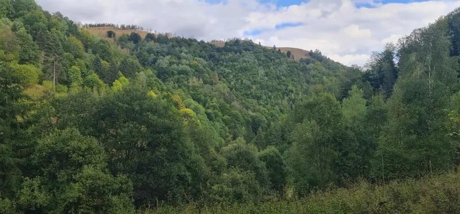 Teren în Muntele Săcelului
