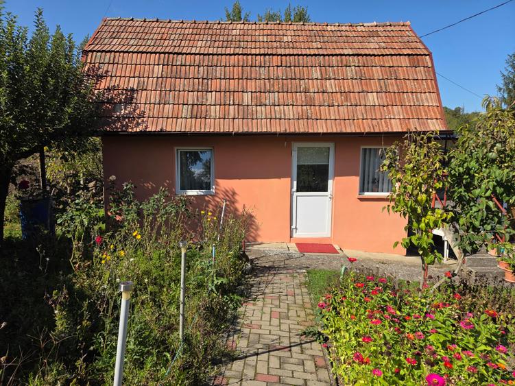 Casă individuală cu 2 camere cu Teren 1500 Mp în Becaș
