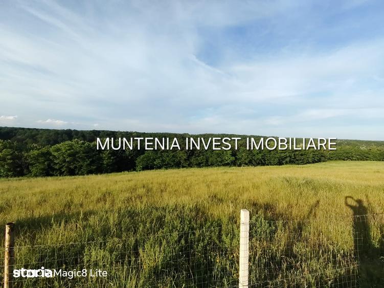 Teren de 935 mp, în Moșoaia