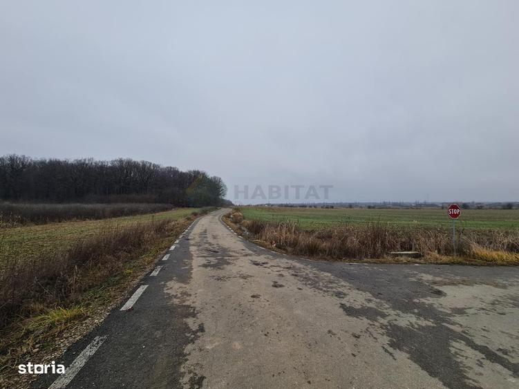 Teren de 8569 mp, în Ciolpani