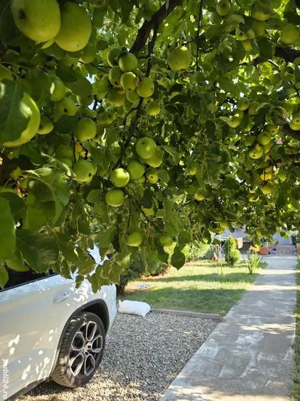 SCHIMB !!Zona mirifica ! apropiere lacul si padurea Snagov respectiv la aprox. 60 de m si 300 m! - 1