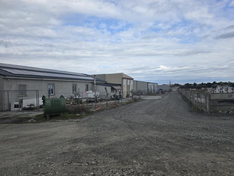 Teren de vanzare in Ovidiu - 8