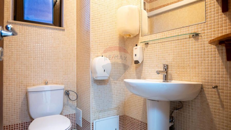 INVESTITIE - Vanzare vilă spatioasa cu S+P+2E+M, zona Doamna Ghica - 30