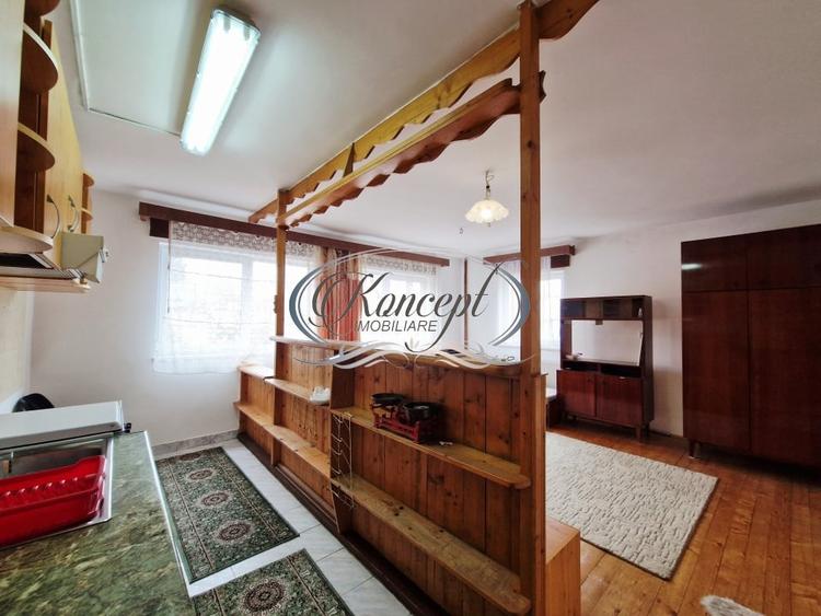 Casa individuala in piata 1848 - 4