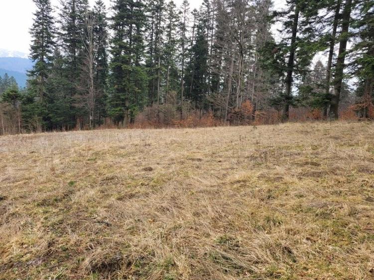 Teren intravilan Busteni, zona manstirea Caraiman - 2