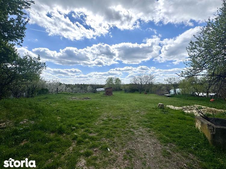 Vand teren 4097 mp, Aradul Nou - 5