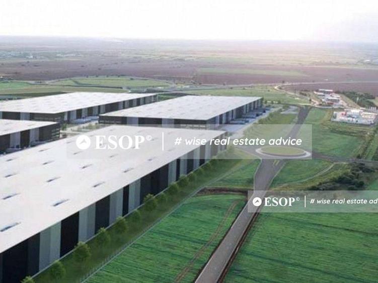 VGP Park Arad, parc industrial in curs de dezvoltare, 2.000-45.000mp - 6