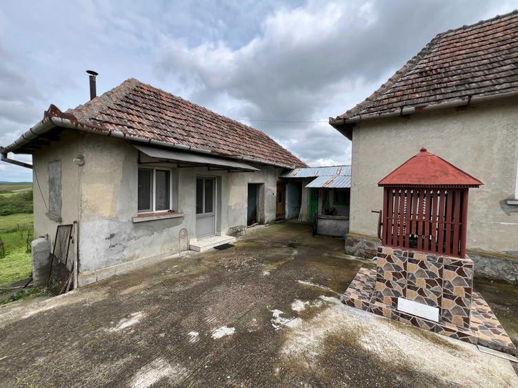 Vand casa in Tasad cu teren de 5793mp la asfalt, front stradal de 30m - 6