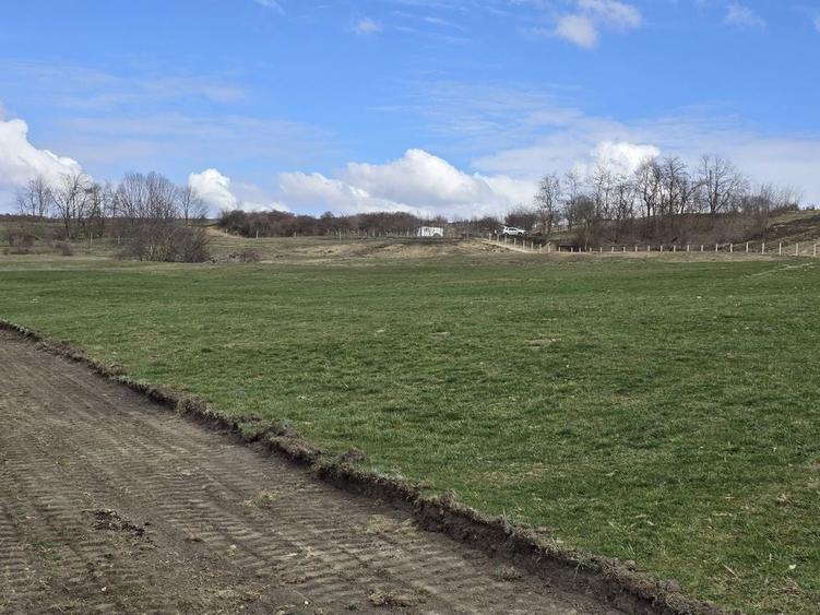 Teren Extravilan Dealul Fanatelor - 1