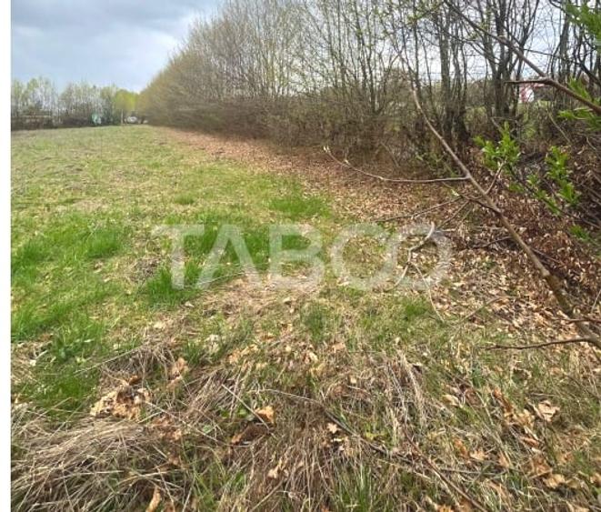 Teren intravilan pentru casa zona linistita 550 mp front 21 m Cisnadie - 6