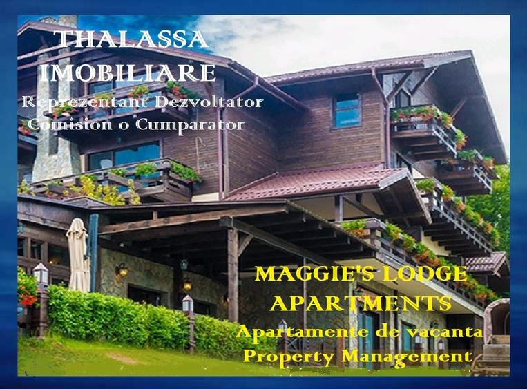 Apartamente de Vacanta - Rasnov Brasov - 1