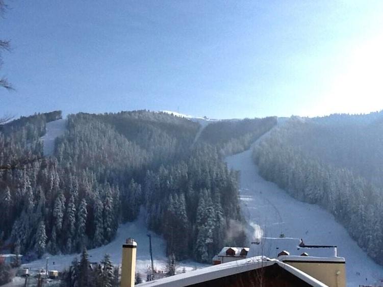 Apartament 3 camere | Statiunea turistica Azuga | - 24