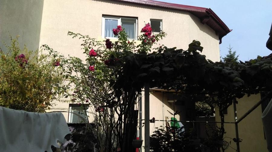 Vanzre 3 corpuri de case noi plus gradina in zona Mihai Bravu Bucuresti - 1