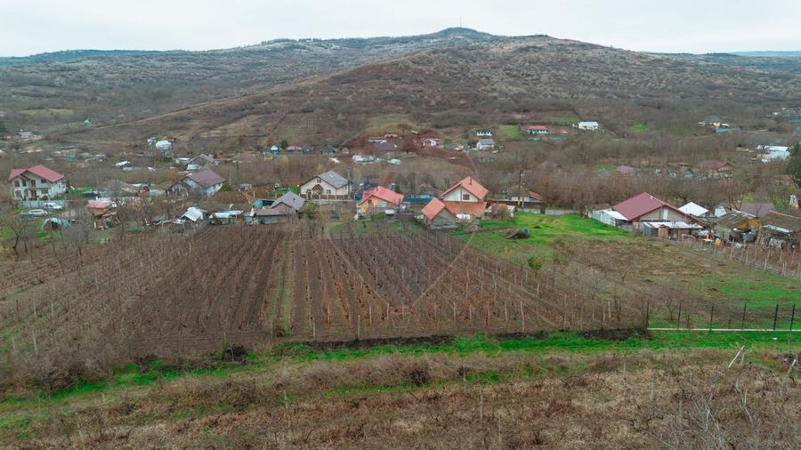 Casă de Om Gospodar - Costuleni - Grădină 1.830 mp -0% Comision 0% TVA - 12