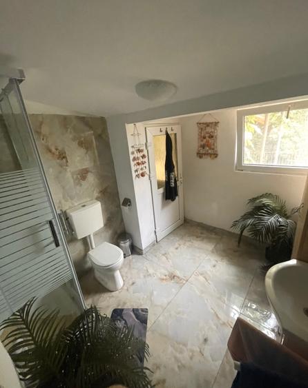 Casa individuală Gavril Musicescu . Timisoara  - 13