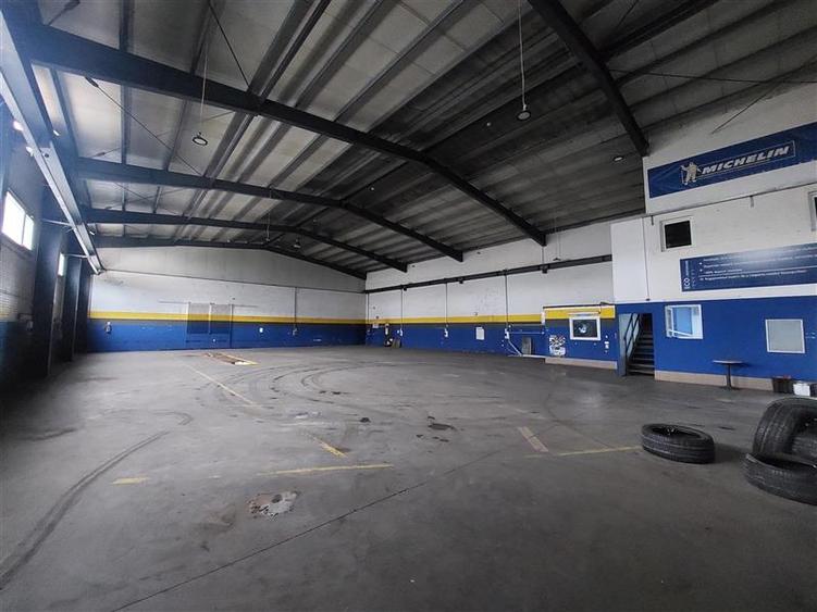 3 hale de inchiriat in Micalaca - 11