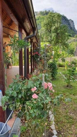 DE  VANZARE  VILA PIETRENI VALCEA ,600 M2 PRETABILA PENSIUNE - 2