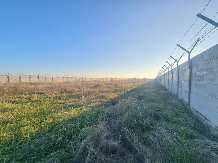 Teren 4500 mp de închiriat – Frumușani – Parcare TIR / Depozitare logistica - 9