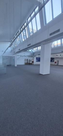 Spatiu de birouri / comercial / show room Domenii - Parcul Copilului - 13