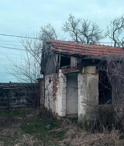 Casa de vanzare in sat Rapsig jud Arad cu 1400 m2 pamant - 7