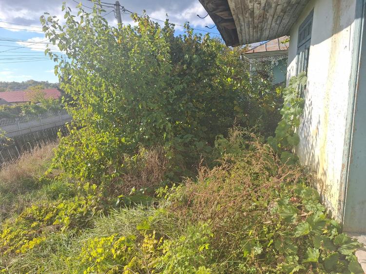 Casă bătrânească cu teren generos de vânzare în Proselnici, Miroslava - 5