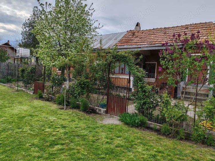 Teren cu casa batraneasca de vanzare - 2