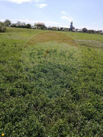 De vânzare teren intravilan, 6574 mp în Leș - 3