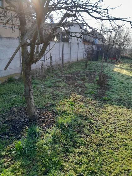 Teren de vanzare - 2