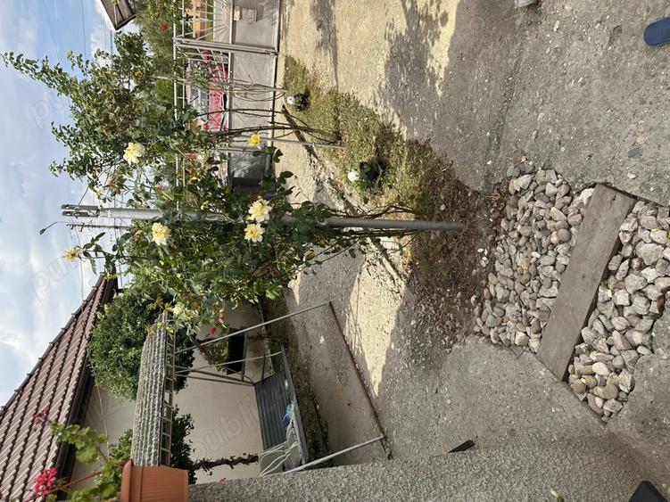 Casa de vanzare in Ciacova - 4