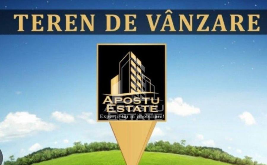 Teren intravilan cu toate utilitatiile in Remetea Mare - 1