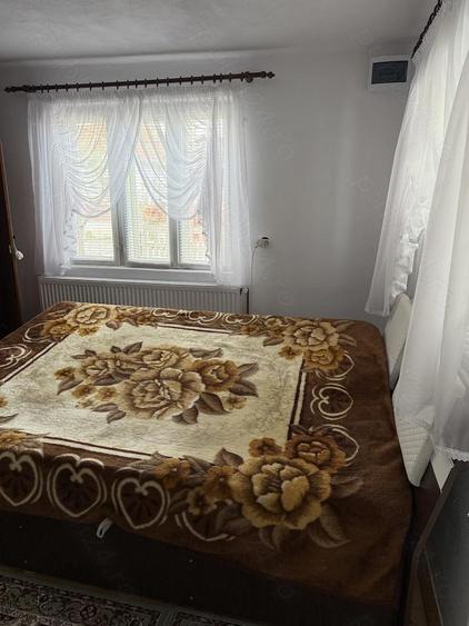 Casa la ?ara de vanzare - 3