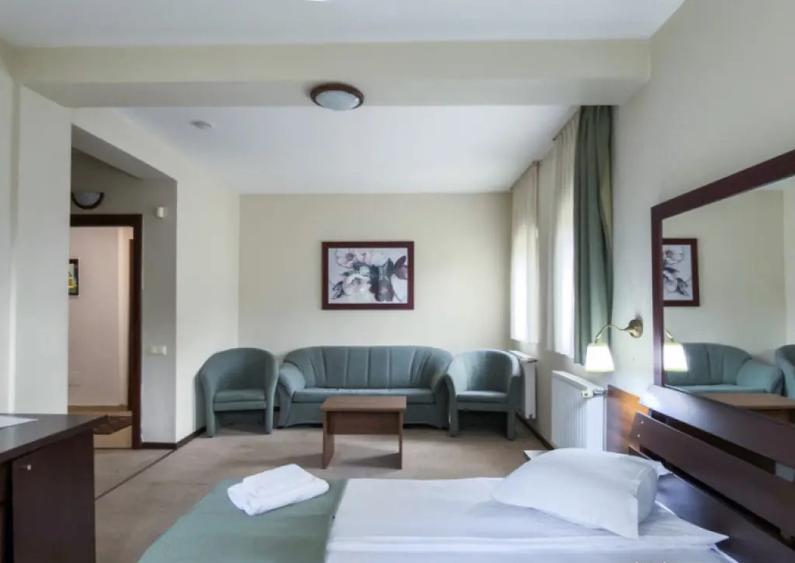 Pensiune de lux In Busteni - 8