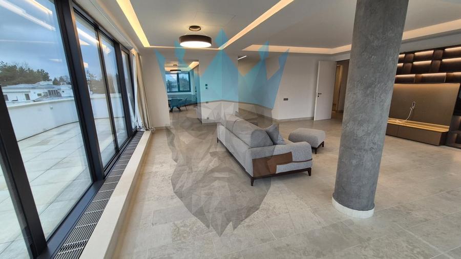 Penthouse 4 Camere Kiseleff Bucuresti - 4