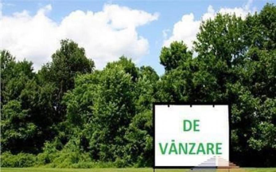 Teren intravilan, 12.200mp, zona Francei. (2 parcele-se va - 1