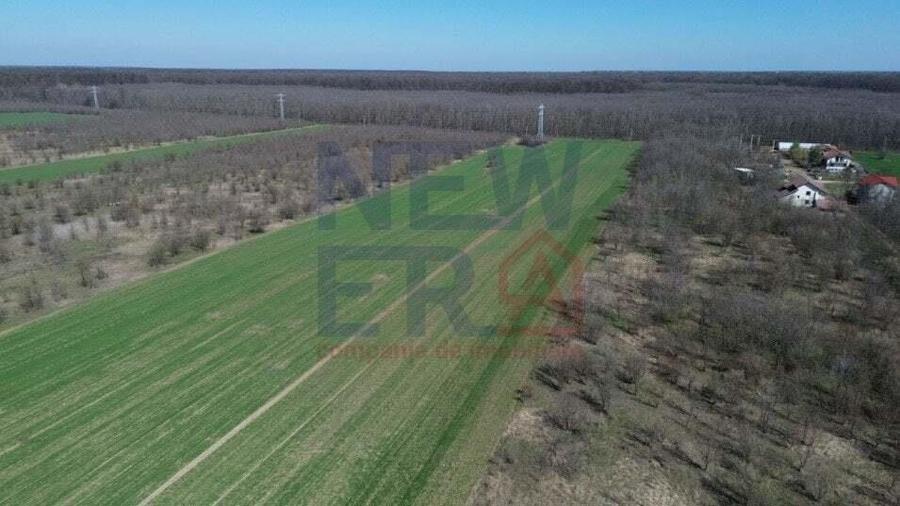 Teren de vanzare, Sabareni - 2