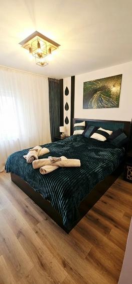 Proprietar, vand apartament, 3 dormitoare,1living,2 bai, Centrul nou, mall Afi, - 7