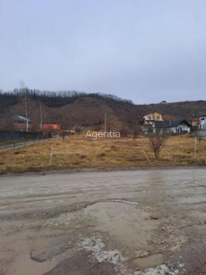 Teren intravilan pentru constructii in Sinnicoara - Sub Coasta, Apahida Teren intravilan pentru constructii in Sinnicoara - Sub Coasta, Apahida