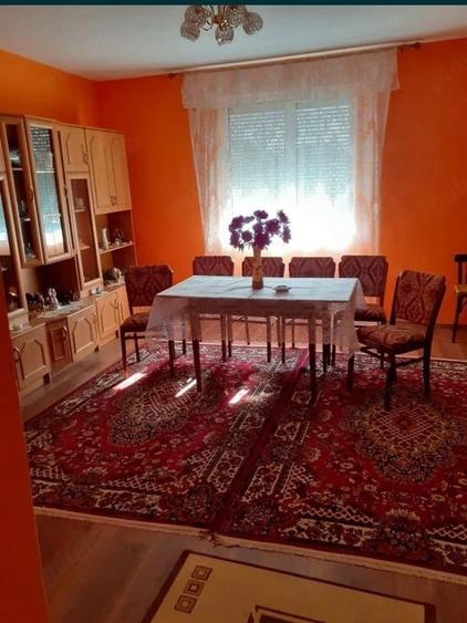Vand casa in satul Vasile Goldi? comuna Beliu jud Arad - 5